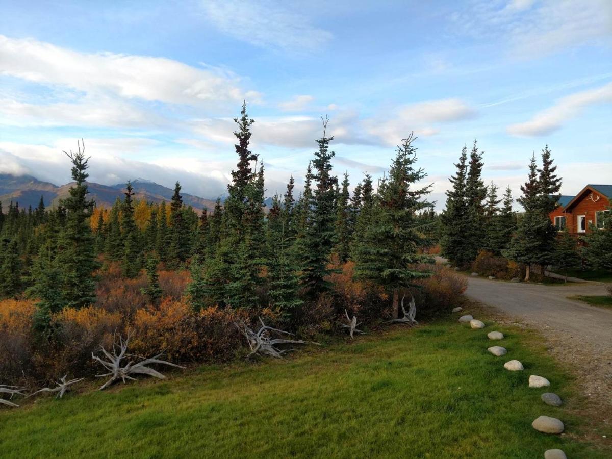 Denali'S Alaskan Spruce Cabins Healy Exterior foto