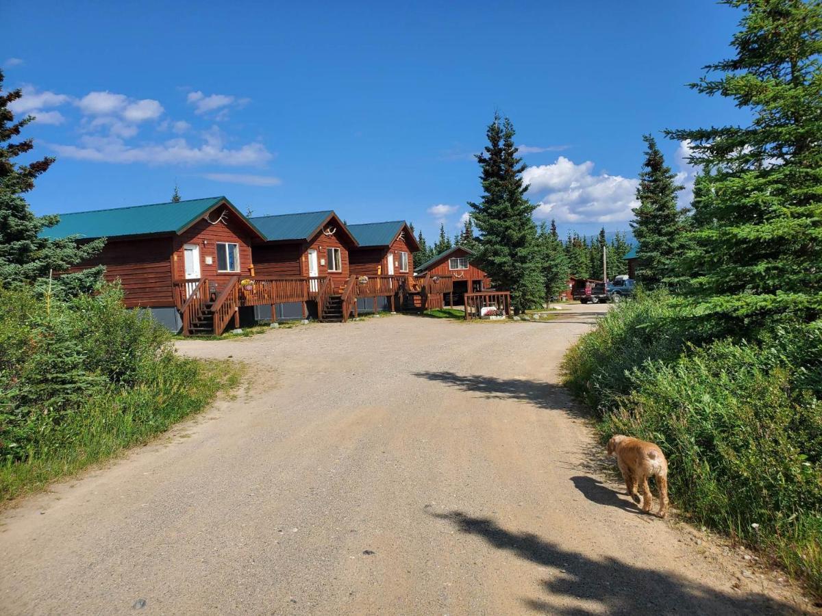 Denali'S Alaskan Spruce Cabins Healy Exterior foto