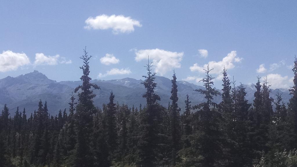 Denali'S Alaskan Spruce Cabins Healy Exterior foto